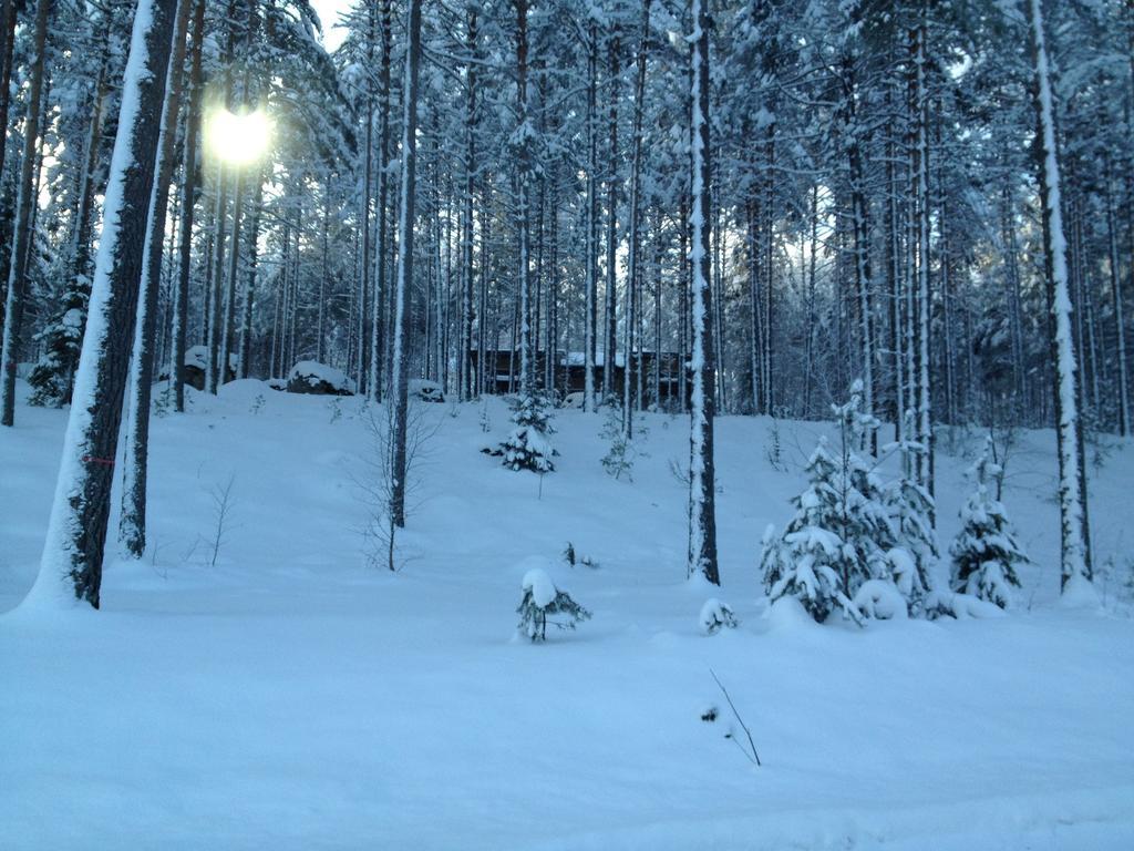 Kultainen Kaava Cottages Padasjoki Exteriér fotografie